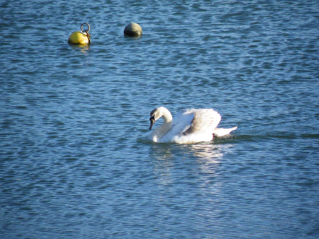 08040913