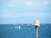 2009_0730pano0015