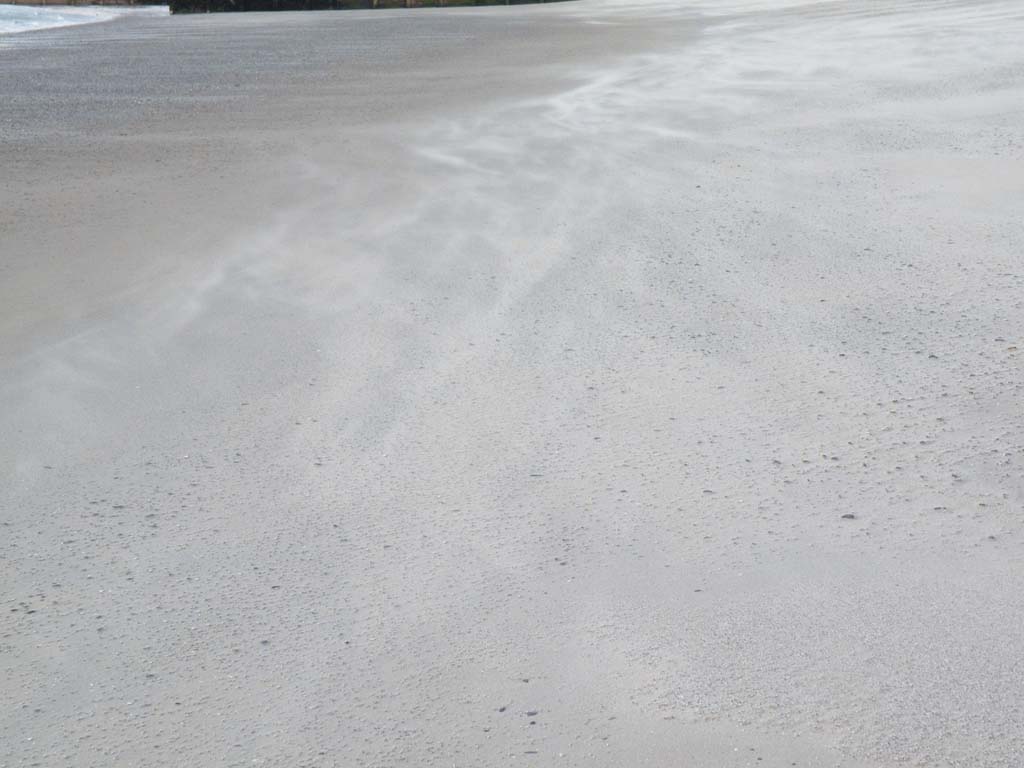 28030905