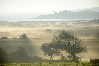 Photo By John Wormald