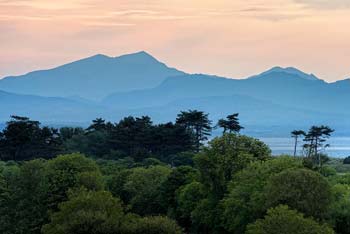 Photo By John Wormald