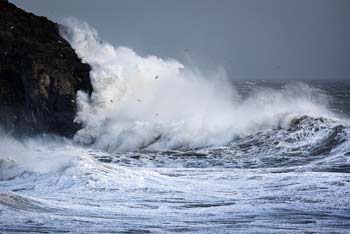 Photo By John Wormald
