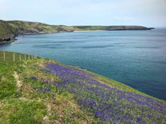 Abersoch Report