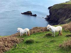 Abersoch Report