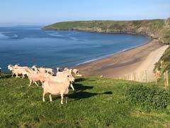 Abersoch Report