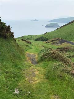 Abersoch Report